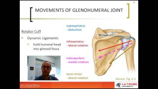 3 Glenohumeral Joint Movements amp Innervation [upl. by Htebazie472]