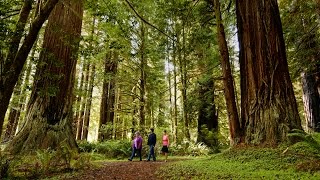 The Yurok Tribe  We Are Builders [upl. by Aikim]