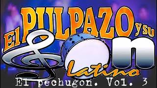 El Pulpazo Y Su Son Latino  El pechugon [upl. by Hehre348]