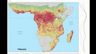 Fluctuations Triggers Ebola Virus Spillover [upl. by Richart305]