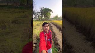 আজকে আমি জমিতে ধান 🌾 কাটতে গেলাম 🥴  minivlog banglavlog vlog [upl. by Nesyaj]