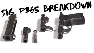 Sig Sauer P365 Breakdown [upl. by Sarson562]