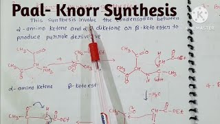 PaalKnorr synthesis konr pyrrole synthesis [upl. by Ahseetal649]