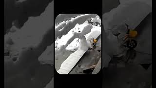 Unexpected Snowfall Hits a Working Woman Her Reaction Will Shock You [upl. by Ginni156]