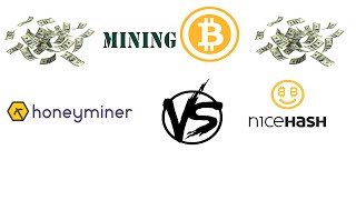 Honey Miner Vs Nice Hash Beginner [upl. by Onin]