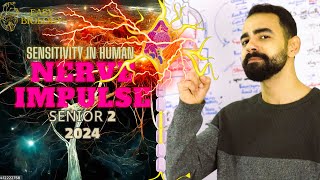 بيولوجي تانية ثانوي  BIOLOGY SENIOR 2 😍  Nerve Impulse ⚡️🧠 Synapse [upl. by Altis]