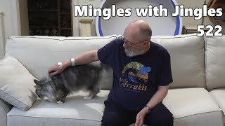 Mingles with Jingles Episode 522 [upl. by Anaehr]