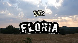 Ñolo  FLORIA [upl. by Svend]