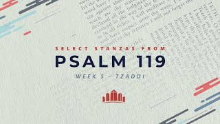 Select Stanzas From Psalm 119  Week 5  TZADDI [upl. by Airdnaxila]