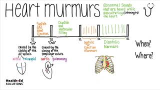 Heart Murmurs and Valve Disease Heart Murmur Series [upl. by Whipple821]