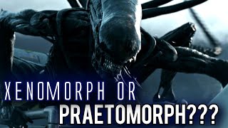 Praetomorph Explored  Alien Covenant Xenomorph [upl. by Morril]