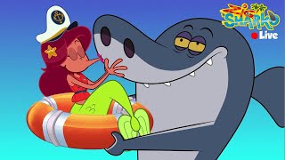 NEW 🔴 ZIG amp SHARKO 3  LIVE CARTOON  NEW SEASON amp EPISODES [upl. by Frulla]