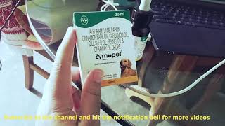 Zymopet for puppies  Dogs gas problem solved  Dr Pallabis Pet Care  in Hindi [upl. by Lynden486]