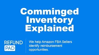 Commingled Inventory  How Does it Work for Amazon FBA Sellers [upl. by Avril]