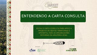 Dabucury Entendendo a Carta Consulta [upl. by Ecnarolf138]