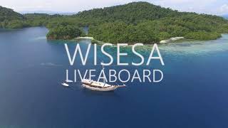 wisesa raja ampat liveaboard dive or snorkeling cruises indonesia [upl. by Nosila463]