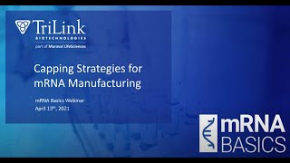 mRNA Basics Capping Strategies for mRNA Manufacturing [upl. by Helve]