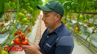 Sundrop Farms tomatoes  Great lengths for quality  Coles [upl. by Imalda]