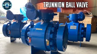 Trunnion Mounted Ball Valve Overview  What is a Trunnion Ball Valve [upl. by Lanam]