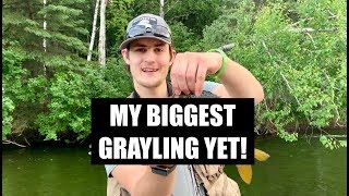 THE BIGGEST GRAYLING I HAVE EVER CAUGHT [upl. by Areik]