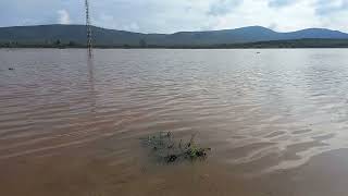 La Llacuna i lEngolidor de La Jana després de la DANA i 3  vídeo Sefo 61124 [upl. by Ddej42]