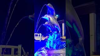 Amazing Lighting Shower with Dolphin  shorts ytshorts viralvideo trending youtubeshorts [upl. by Ecyac]