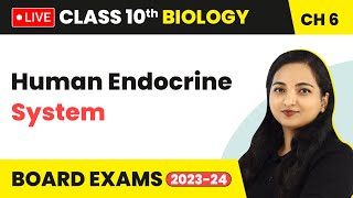 Human Endocrine System  Control and Coordination  Class 10 Biology Chapter 6 LIVE [upl. by Yatnuahc928]