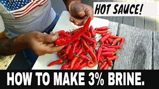 HOW TO MAKE FERMENTING SALT BRINE FOR HOT SAUCE3 [upl. by Rus]