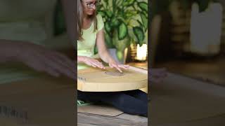 Monochord  Healing Sound  1min Relaxing Sound [upl. by Aralk]