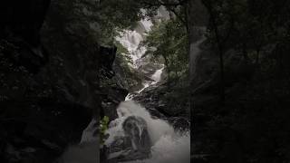 Hosgod waterfall honnavar😍😍 karnataka ytshorts waterfall honnavar uttarakannada hosgodfall [upl. by Essyle42]