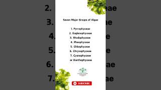 7 Major Groups of Algae  Algology or Phycology ytshorts [upl. by Gertrud117]