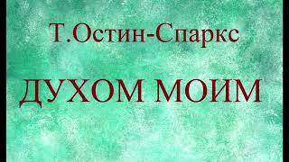 06ДУХОМ МОИМ ТОСТИНСПАРКС ХРИСТИАНСКАЯ АУДИОКНИГА [upl. by Eintroc]