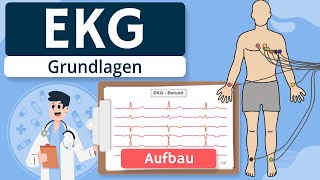 EKG  Grundlagen einfach erklärt Entstehung Ableitungen [upl. by Sorel]