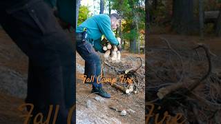 A Beautiful Fall Backcountry Campfire Click Below for Full Adventure getoutside solocamping canoe [upl. by Jezabella237]