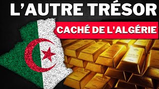 Lor lautre trésor caché de lAlgérie [upl. by Ahsirahc120]