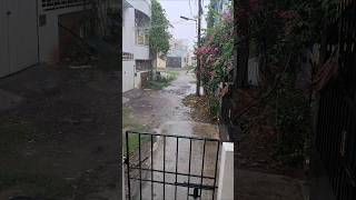 மழைல kerosine stoveல சமையல் Full video description rainyday tamilshorts [upl. by Aicenet447]