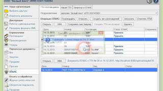 Работа с ЕГАИС в Трезвом Декларанте [upl. by Karlotta]