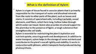 what is the definition of xylem [upl. by Nitz]