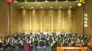 梁祝小协 Butterfly Lover Violin Concerto 23 [upl. by Blondie]