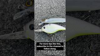 How To Know When To Fish A Crankbait VS A Jerkbait [upl. by Wadlinger]