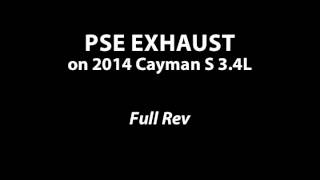 Porsche 981 Exhaust Comparison  Borla vs PSE [upl. by Doss45]