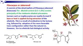 Cognosy 2023 lecture 7 imidazole purine alk [upl. by Merrel597]