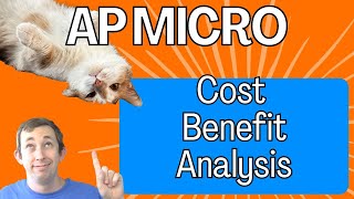 Understanding CostBenefit Analysis  AP Micro Struggle 15 [upl. by Liddy551]