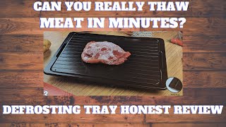 Can you really thaw meat in just minutes Defrosting Tray Honest Review  As Seen on TV [upl. by Maharva156]