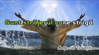 Sunt strajerul care striga  Negativ Crestin [upl. by Ybok]