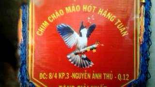 luyện giọng sông kôn cho chào mào má trắng [upl. by Nylavad]