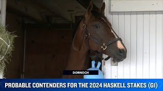 The Probable Contenders for the 2024 Haskell Stakes G1 [upl. by Lledra]