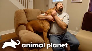 Baker Red Helps A Mourning Family  Pit Bulls and Parolees  Animal Planet [upl. by Azerila]