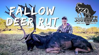 Fallow Deer Rut Adventure Hunting in the Eastern Cape [upl. by Ailin720]