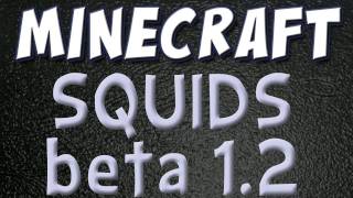 Minecraft  Squids 12 Beta Update Part 1 [upl. by Gnov503]